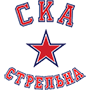 СКА Стрельна 07 2