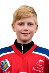 Грыженков Лев