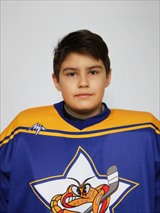 Новиков Лев