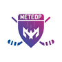 ГУАП Метеор