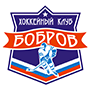 Бобров 02