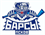 Барсы