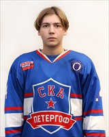 Рясиков Владимир
