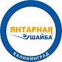 "Янтарная Шайба" среди команд 2007 г.р.